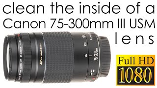 Canon EF 75300mm f456 III USM  how to clean the lens inside [upl. by Crellen88]