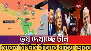 ভারত যেভাবে বাংলাদেশের কাছে জিম্মি  ভাঙ্গতে পারে ভারত চিকেন নেক নিয়ে বিপাকে ইন্ডিয়া  Chicken neck [upl. by Stefa]