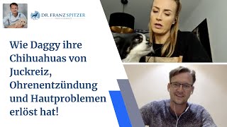 Wie Daggy ihre Chihuahuas von Juckreiz Ohrenentzündung und Hautproblemen erlöst hat [upl. by Chari]