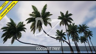 DZ Trees  Coconut Tree [upl. by Millard]