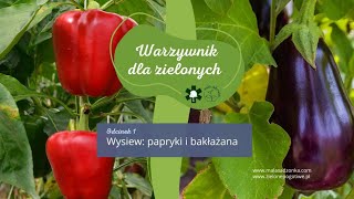 Warzywnik dla zielonych Uprawa bakłażana i papryki [upl. by Ellerehs355]