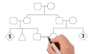 How to Draw a Family Tree  Part 1 Introduction [upl. by Lichtenfeld]