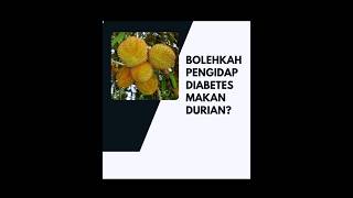 SIAPA SAJA YANG TIDAK BOLEH MAKAN DURIAN [upl. by Enilarak]