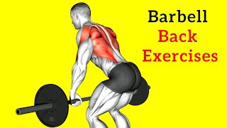 10 Best Barbell Back Exercises For Mass And Stronger ScienceBased Workout [upl. by Atterbury207]