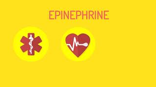 Anaphylaxis 101  Understand the basics [upl. by Augusto]