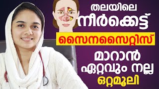 തലയിലെ നീർക്കെട്ട് പൂർണ്ണമായും മാറാൻ  thalayile kafa kettu maran  Sinusitis malayalam [upl. by Ardni600]