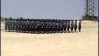 ondangwa police training center passout parade 2009 drill teamwmv [upl. by Oriana]