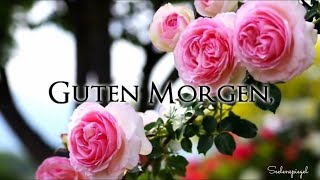 Guten Morgen 🌞 ich wünsche dir einen schönen Tag 🌷 liebe Morgengrüße [upl. by Aikel]