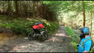 Easy day on the Dalby forest red route mountain bike trail  may 2023 [upl. by Mazel565]