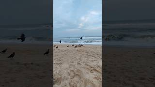 chennai beach neelankarai clean family [upl. by Assirrak291]