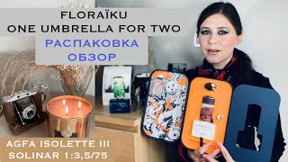 Smell like a BLUEBERRY MUFFIN  Floraïku Brand Review [upl. by Joshi]