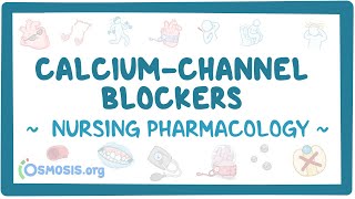 Calciumchannel blockers Nursing Pharmacology [upl. by Gillan]