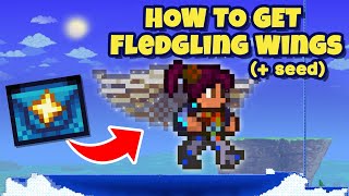 How to get FLEDGLING Wings in Terraria  Seed [upl. by Arissa]