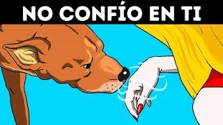 La Ciencia Confirma Que Los Perros Pueden Reconocer A Una Mala Persona [upl. by Attenauqa]