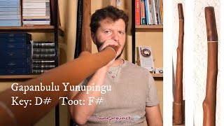 Gapanbulu Yunupingu Traditional Yidaki Didgeridoo in D [upl. by Aziul]