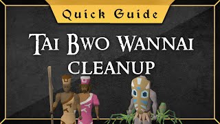 Quick Guide Tai Bwo Wannai Cleanup [upl. by Conte]