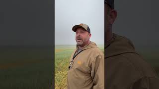 Everett’s thoughts on a solid morning in North Dakota waterfowl goosehunting huntingseason [upl. by Elcarim]