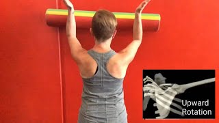 3 Exercises To Correct A Winged Scapula [upl. by Rema]