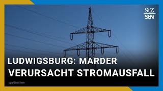 Stromausfall in Ludwigsburg Marder legt Netz für mehrere Stunden lahm [upl. by Alexi]