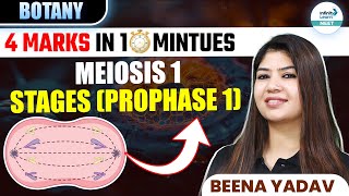 Stages of Prophase 1 of Meiosis 1  🎯4 Marks in ⏰ 10 Minutes  Class 11 botany  NEET 2025 [upl. by Arammahs]