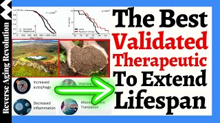 The BEST Validated Therapeutic To EXTEND LIFESPAN [upl. by Merl]