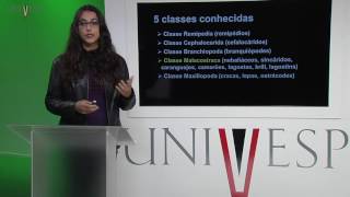 Zoologia de Invertebrados  Aula 21  Filo Arthropoda Crustacea [upl. by Marjorie]