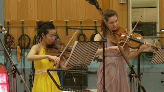 Peter Maxwell Davies Farewell to Stromness  LGT Young Soloists [upl. by Meldon717]