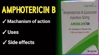 amphotericin b pharmacology [upl. by Bazar]