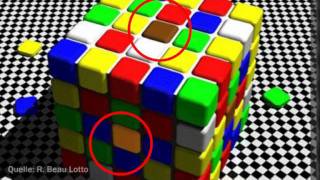 Trügerischer Schatten täuscht Gehirn  Optische Illusion der Woche [upl. by Rodoeht]