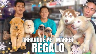 REGALO  ARRANQUE PET MARKET  DECEMBER 21 2023 [upl. by Yltsew597]