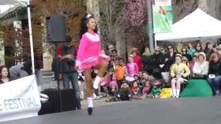 Irish Dance Festival New York 2014 048 [upl. by Wendelin]