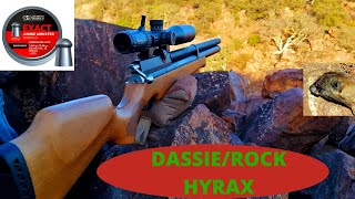 DASSIEROCK HYRAX HUNT WITH THE ARTEMIS M22 55 MM [upl. by Enos]