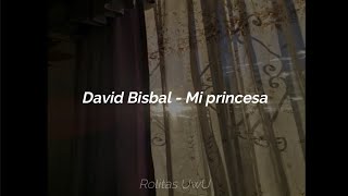 Mi princesa  David Bisbal letra [upl. by Gagliano]