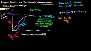 Enzymes Part 2 of 5  Enzyme Kinetics and The Michaelis Menten Model [upl. by Nylrehc]