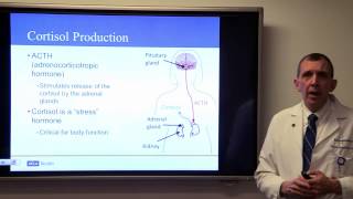 Latest Treatment Options for Pituitary Tumors Marvin Bergsneider MD  UCLAMDChat [upl. by Hsemar]