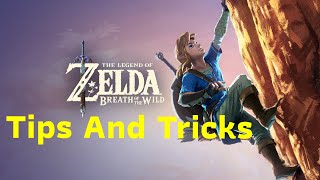 Legend of Zelda Breath of The Wild Tips and Tricks [upl. by Ynamreg]