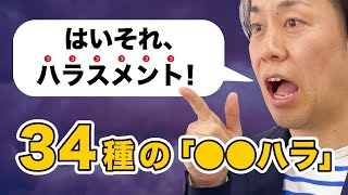 ダメな会社のハラスメント対処法！パワハラセクハラモラハラアルハラ等34種のハラスメント一挙公開 [upl. by Erlewine317]