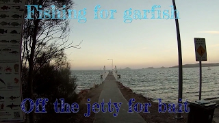 How to catch garfish  sea garfish [upl. by Malia295]