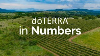 doTERRA In Numbers 2023 [upl. by Silvan49]