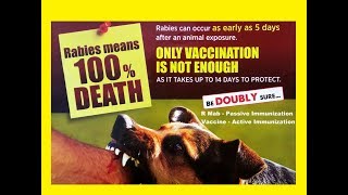 RABIES is 100 Fatal so Prevent it with RMab [upl. by Stier]