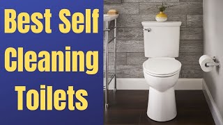 5 Best Self Cleaning Toilet 2023  Reviews amp Buying Guide [upl. by As529]