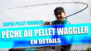 PÊCHE AU PELLET WAGGLER EN DETAILS [upl. by Ihcalam]