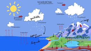 Le cycle de leau [upl. by Mano]