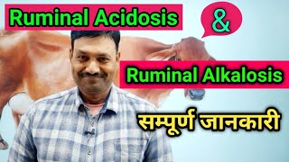 Ruminal Acidosis in Cattle Ruminal Alkalosis in Cattle Ramawat Vets Club [upl. by Teddi]