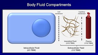 IV Fluids Lesson 1  Basic Principles [upl. by Miehar]