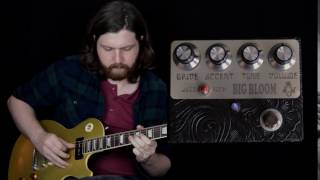 Amplified Nation Big Bloom Pedal Demo  Part 1 [upl. by Eiffub]