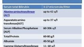 Liver function test normal range chart LFT test Alt Ast Alp albumin total protein [upl. by Newby]