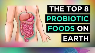 The BEST 8 PROBIOTIC Foods In The WORLD [upl. by Eatnad]