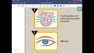 Lec 5 Cholinergic system part 3 [upl. by Aitercul165]