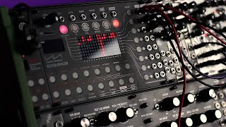 Moog DFAM Acid Test [upl. by Ailahk]